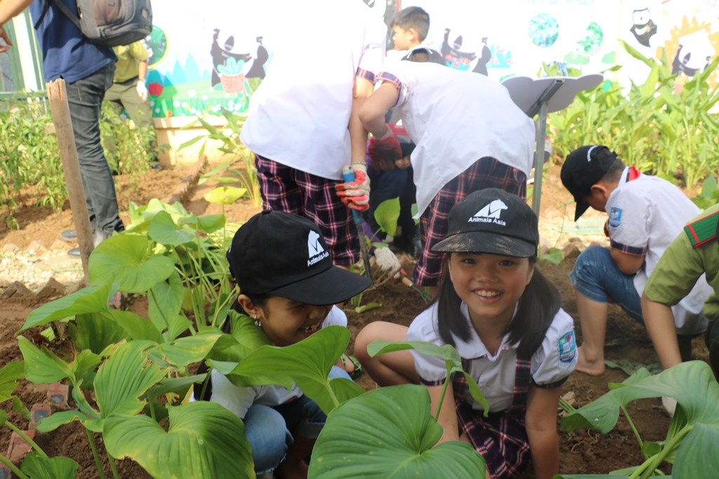 Giáo dục ý thức bảo vệ loài gấu cho học sinh 